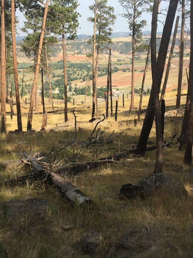 burned and recovering