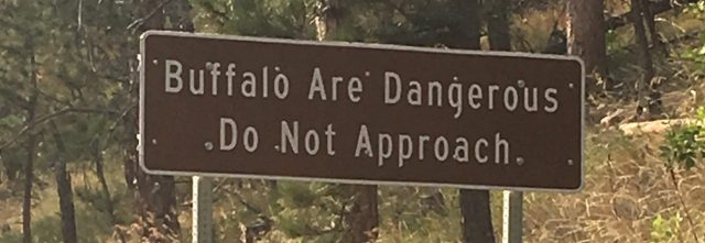 cropped-buffalo.jpg